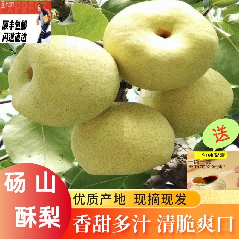 顺丰包邮砀山酥梨当季新鲜水果皮薄多汁脆甜可口核小果肉细腻无渣