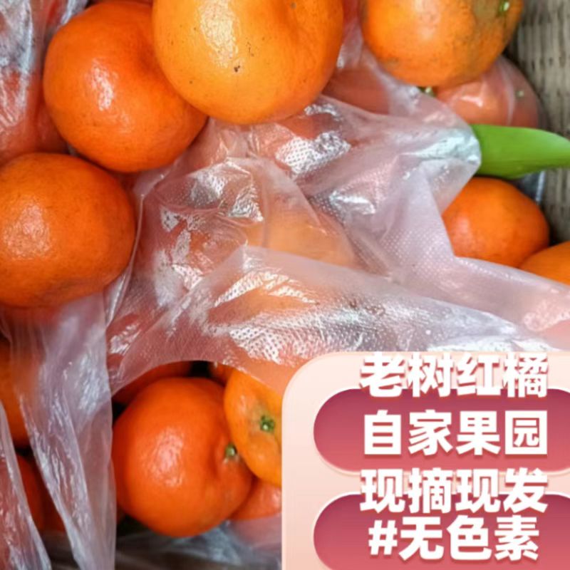 川红桔大红袍正宗四川安岳新鲜水果5斤陈皮桔子无农药