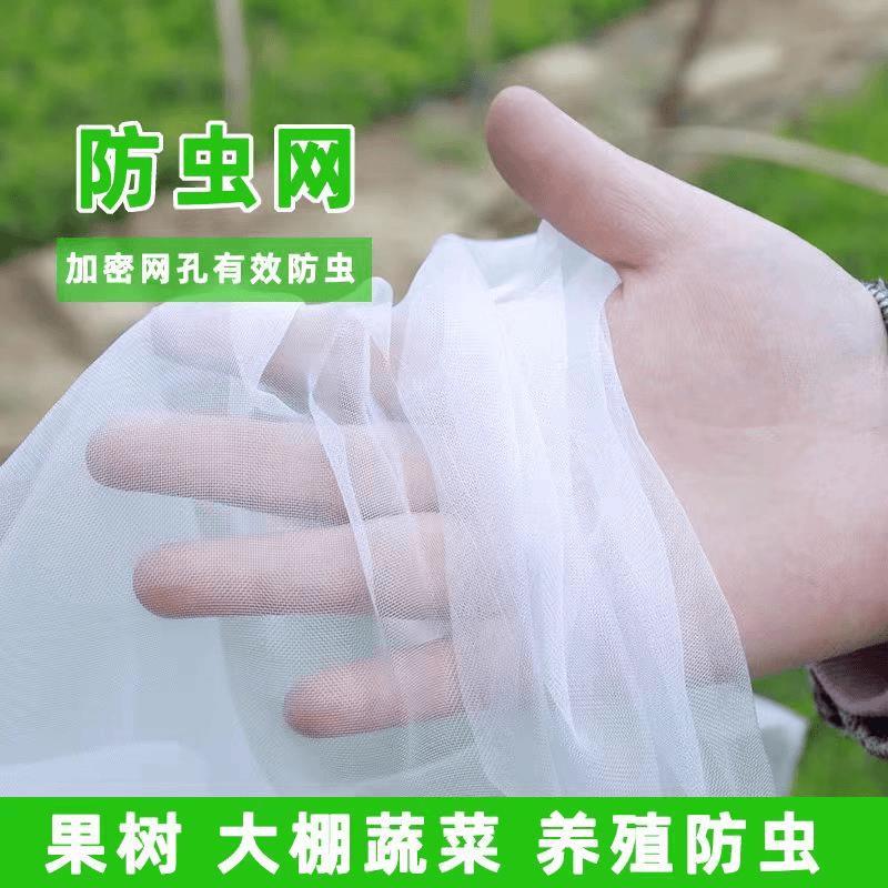 80目加密防虫网不易老化跨境货源批发防虫网农用蔬菜大棚种植网罩