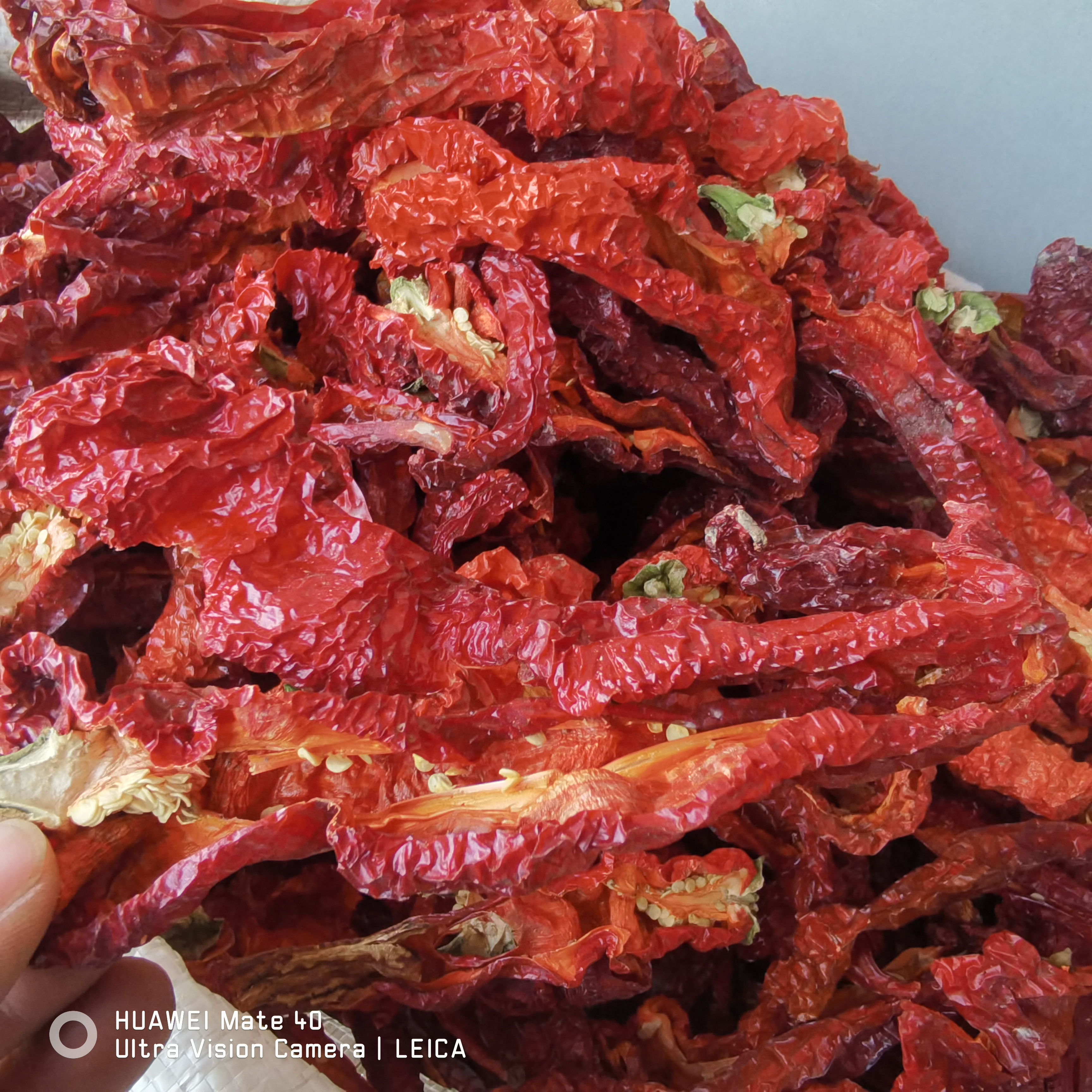 2025年新疆焉耆肉辣椒干辣椒微辣肉厚辣皮子拌面吃面条辣椒宝鲁日