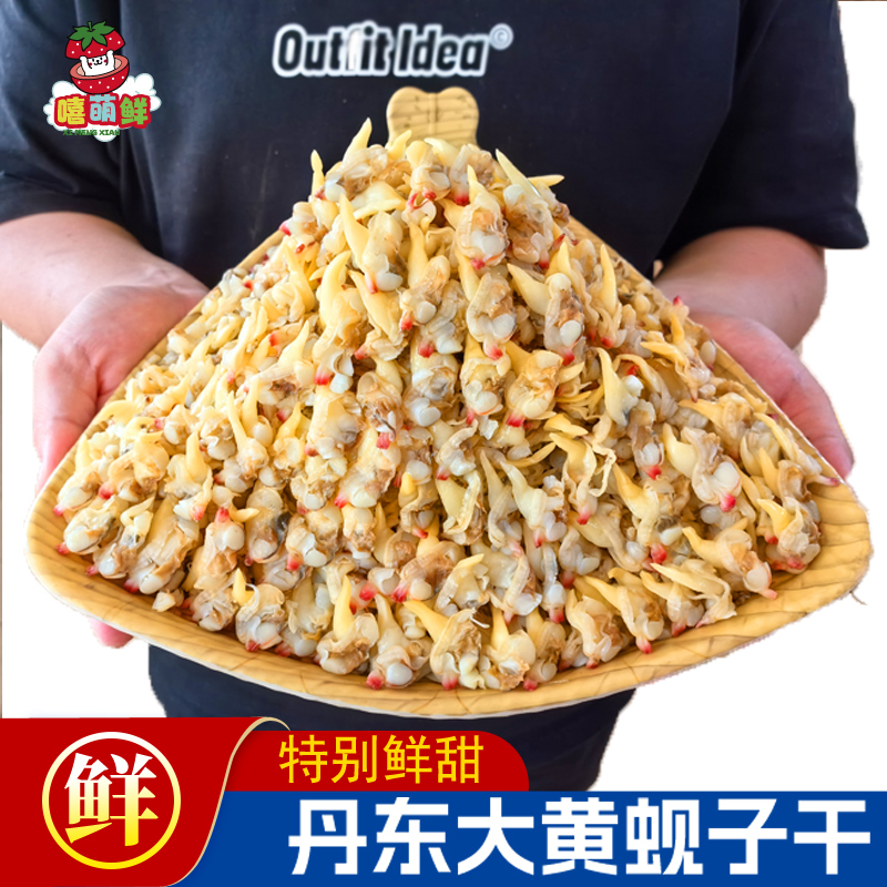 【嘻萌鲜】丹东黄蚬子干250g/袋鲜嫩有嚼劲