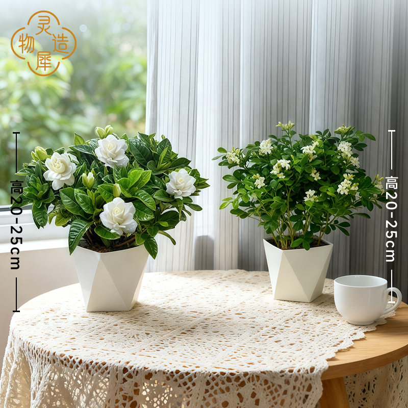 【灵犀物造】室内多季节开花栀子花九里香桌面土培小盆栽改善空气