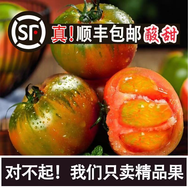 顺丰草莓柿子东北生吃柿子包赔番茄酸甜可口现发5斤3斤西红柿多汁