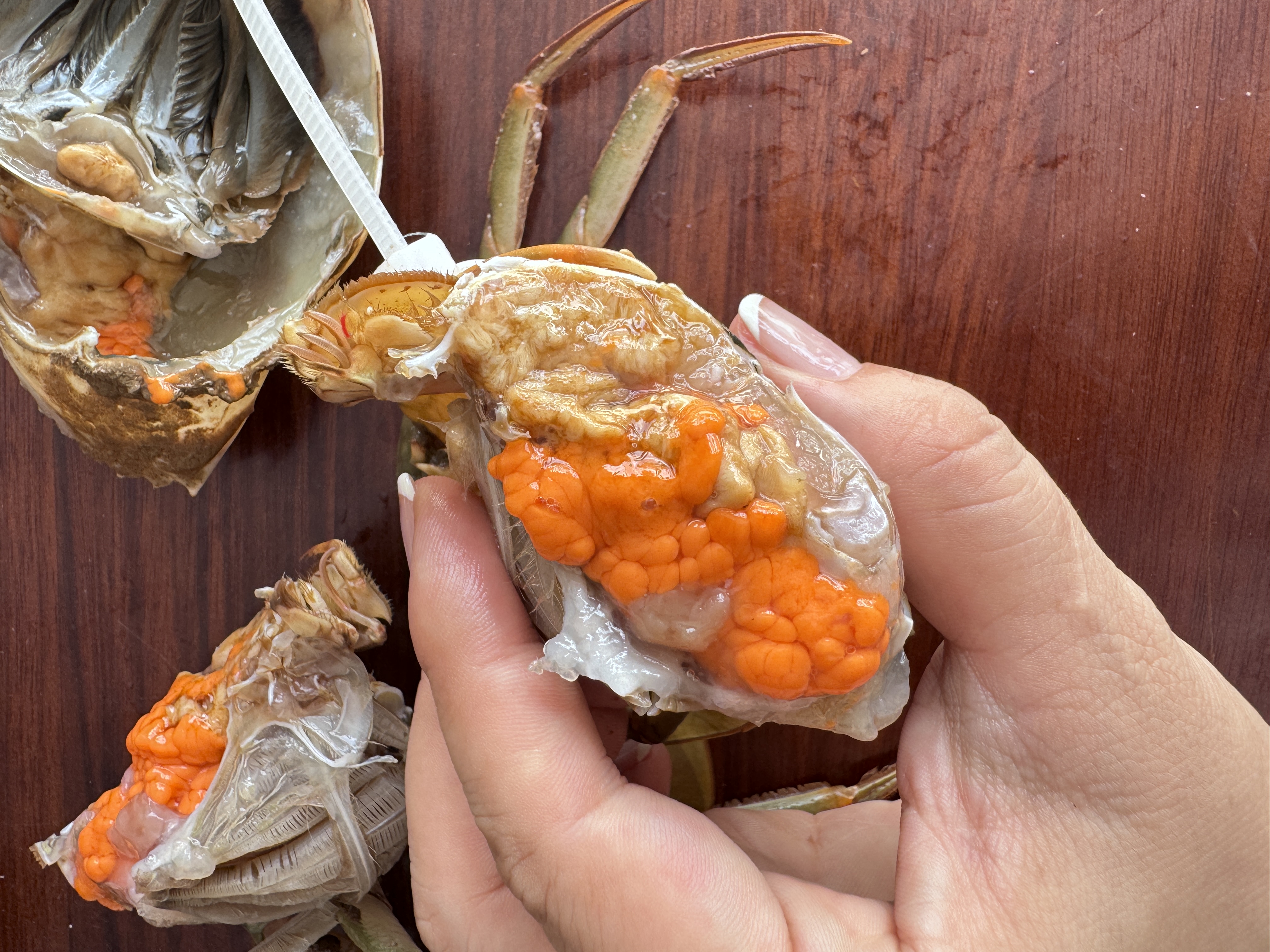 【1】【野生海捕】【顺丰包邮】【现称改价】青蟹三门青蟹一级螃蟹