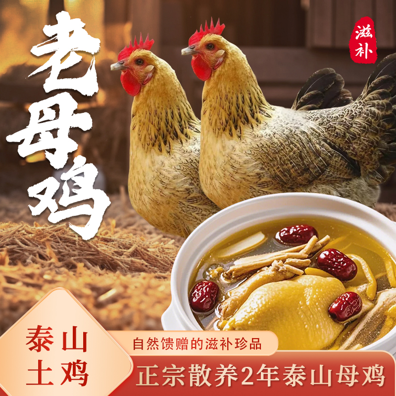 【两只母鸡】泰山脚下散养纯粮土鸡老母鸡带蛋花 包冰率不含冰