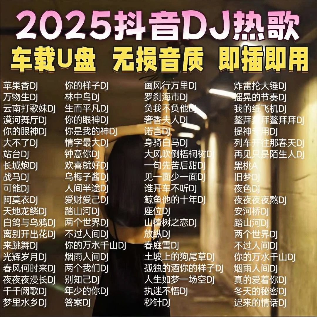 2025最新流行中文DJ榜无损音乐U盘MP3火爆精选DJ流行歌曲 车载u盘