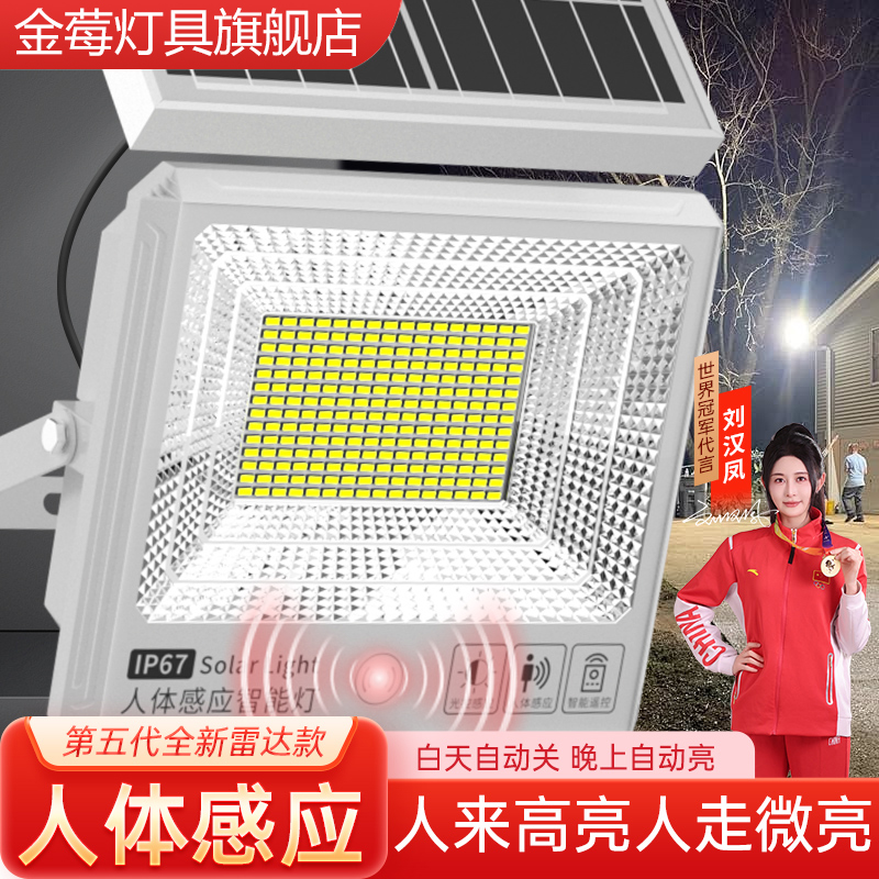 【★雷达双模★北极光-M8人体感应】太阳能灯户外灯景观庭院家用