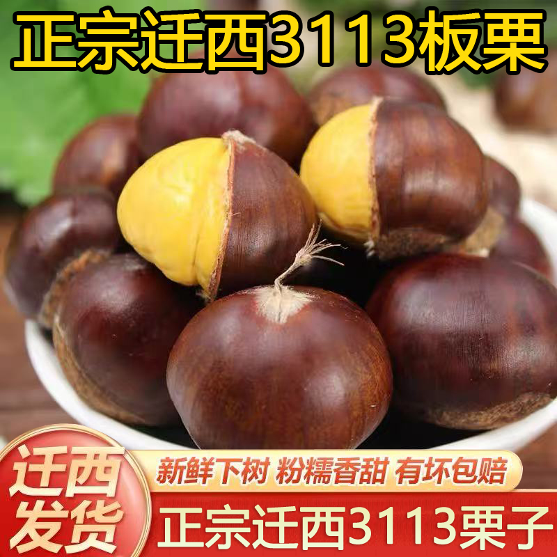 2025年河北迁西3113老品种板栗现摘现发3斤/5斤（坏果包赔）