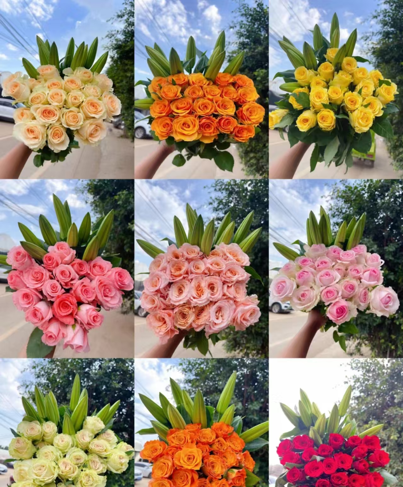 A2套餐：戴安娜+艾莎+香水百合+爱丽丝+洋桔梗