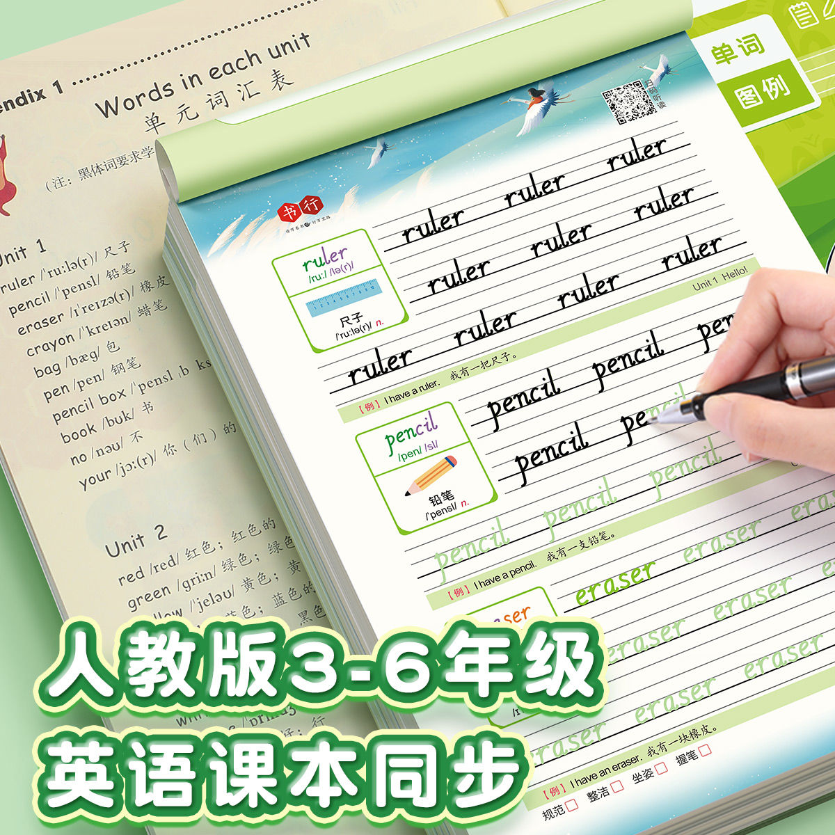 【每日30词】3-6年级手写英语练字帖小学生英文单词同步练习本