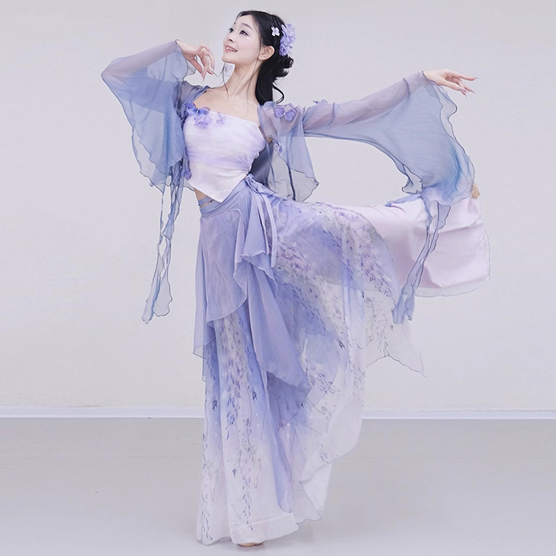仙气身韵练功2025新款仙气飘飘古典仙气中国舞舞蹈服跳舞服装
