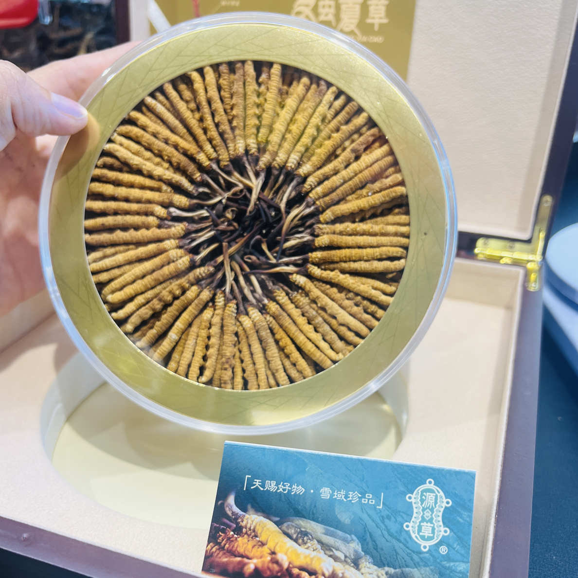 源草精品4根一克那曲高海拔头茬干草高海拔，非低海拔，非人工种植