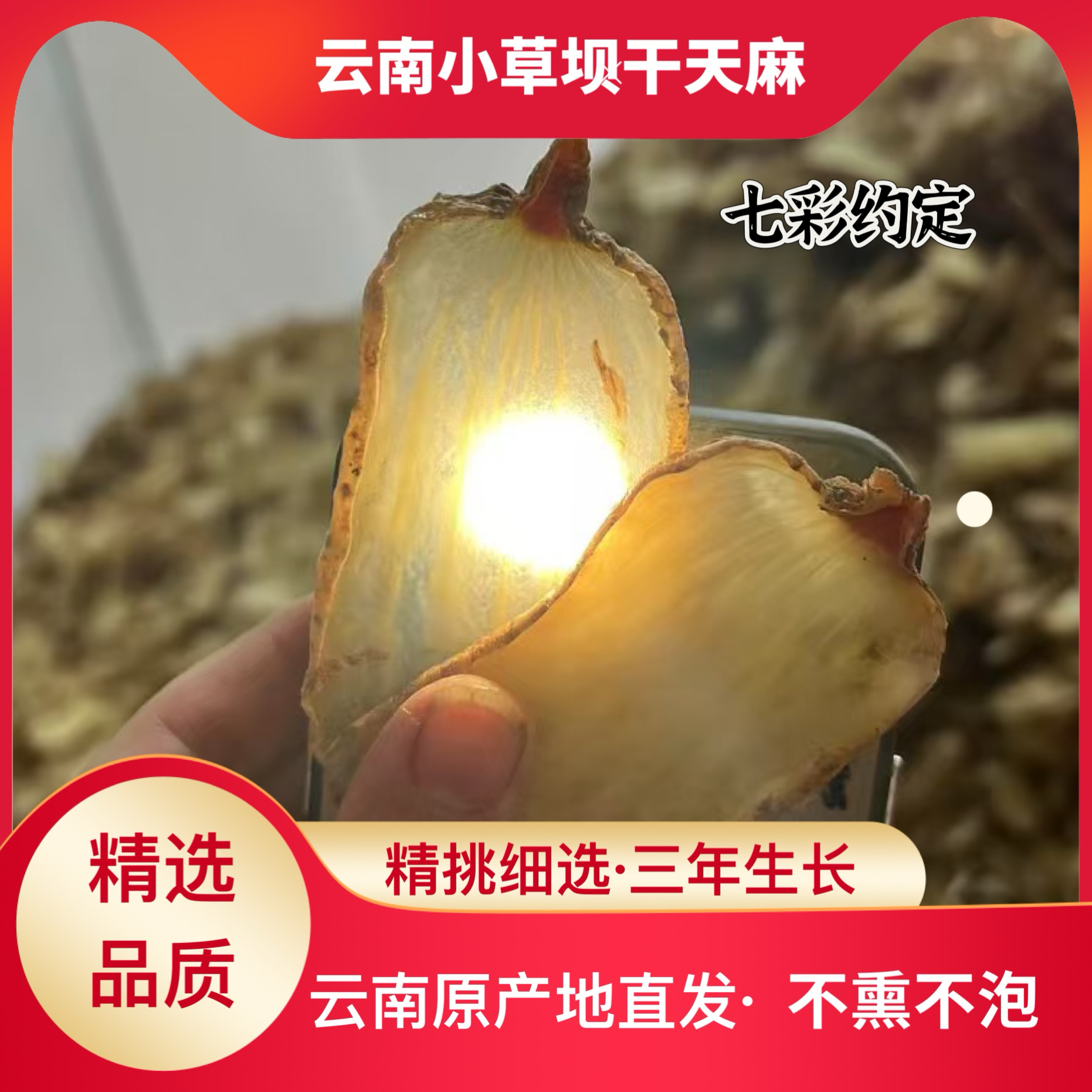 【干天麻可切片磨粉】云南小草坝干天麻仿野生长农家自然晾晒