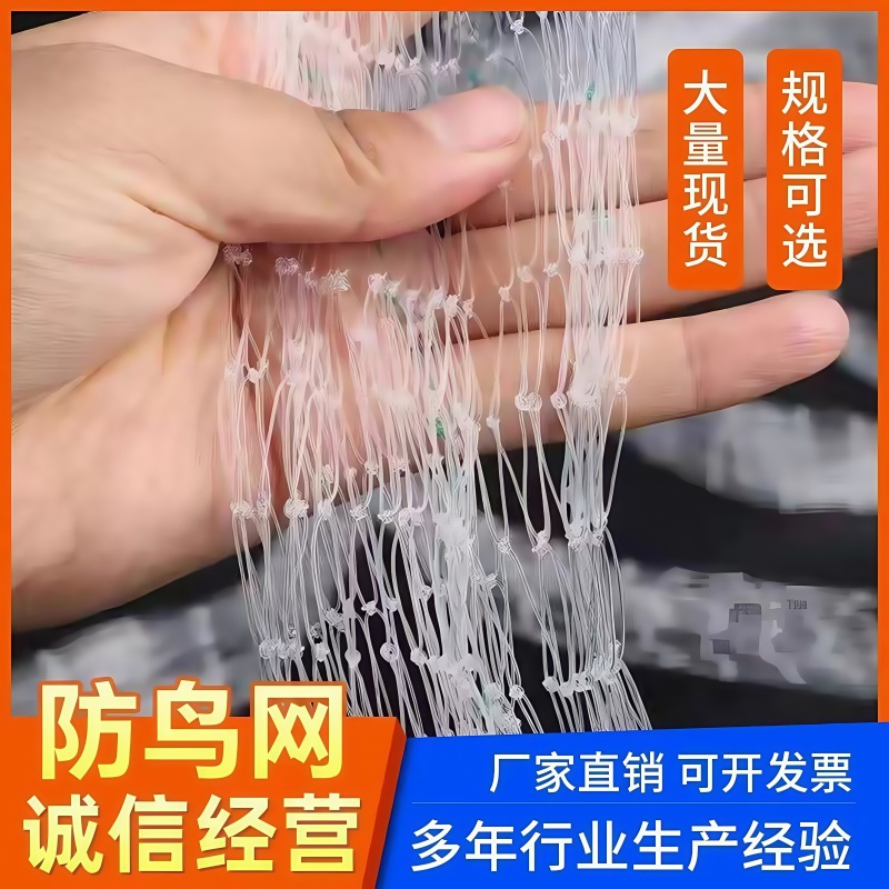 防鸟网果树果园大棚尼龙线防鸟网阳台樱桃树葡萄窗户鱼塘用的天网