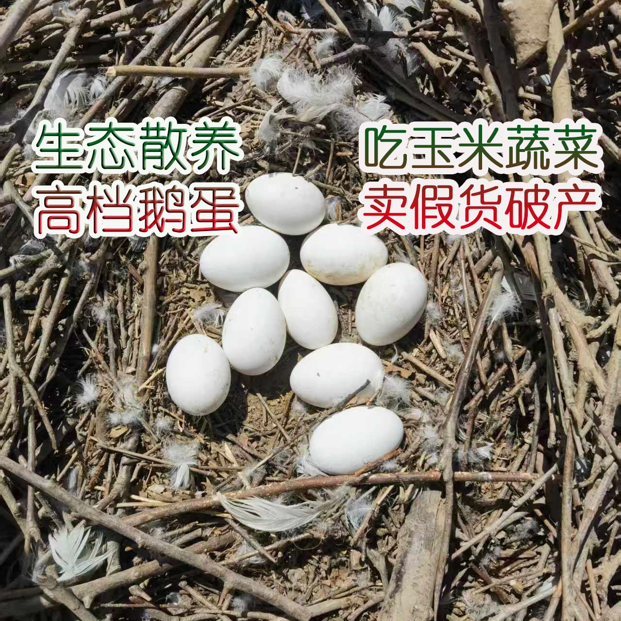 新鲜散养土鹅蛋12枚单个120克左右（12枚净重大于等于1400克）