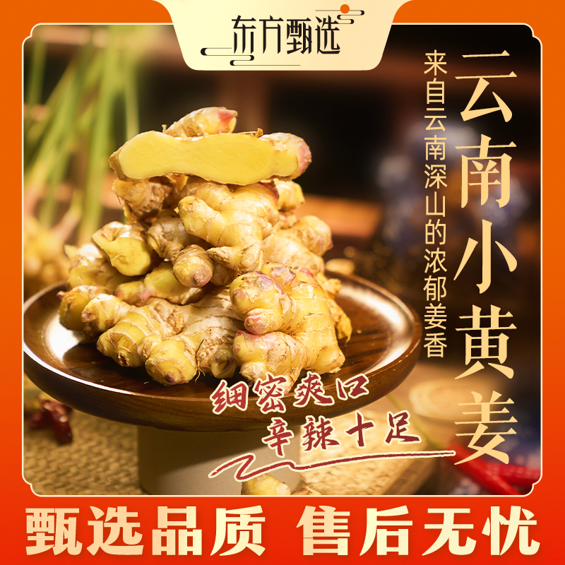 东方甄选自营云南小黄姜清脆姜香浓郁蔬菜 顺丰/京东3/5斤装