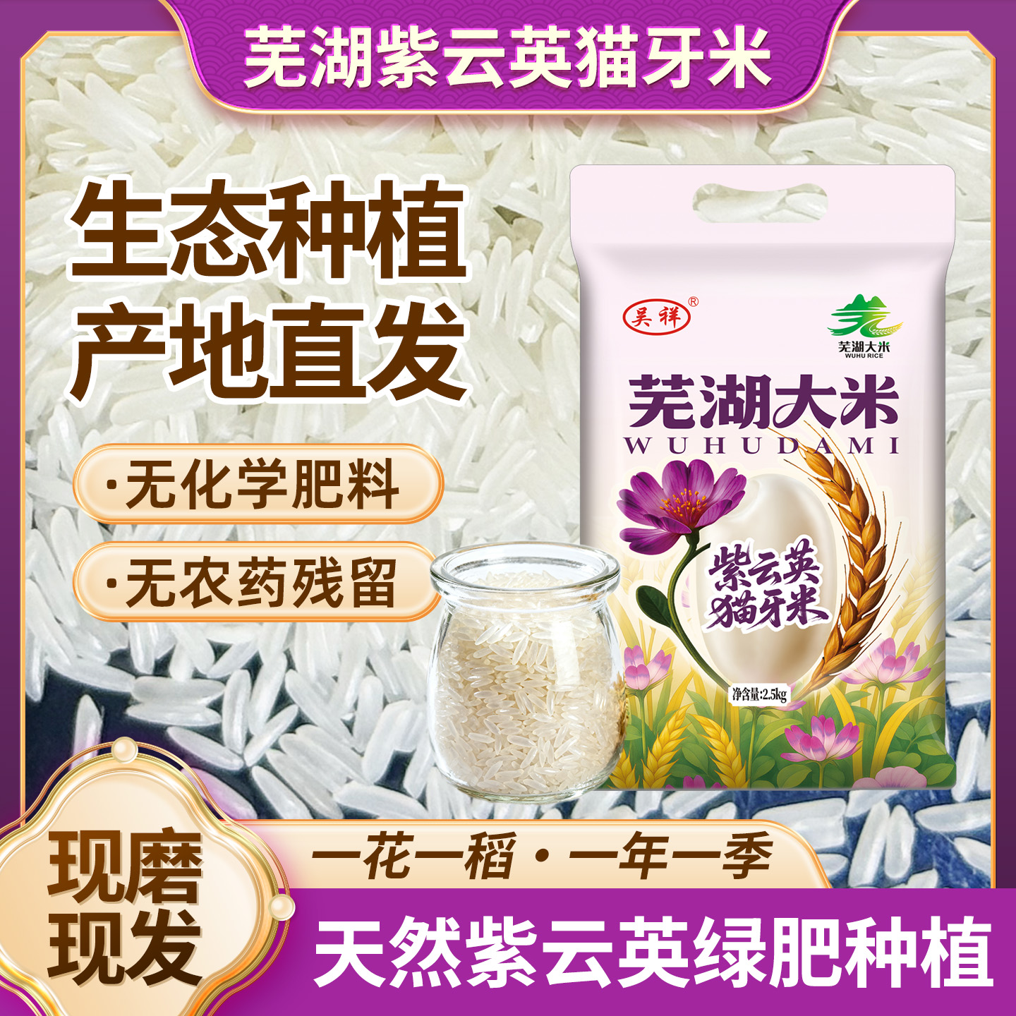 5斤紫云英猫牙米芜湖大米2025年新米长粒香米2斤5斤10斤南方籼米
