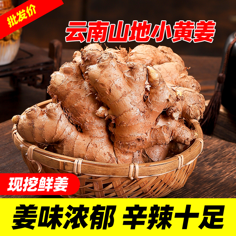 云南小黄姜浓郁香味辛辣够味山地种植现挖生姜产地直采新鲜姜1斤
