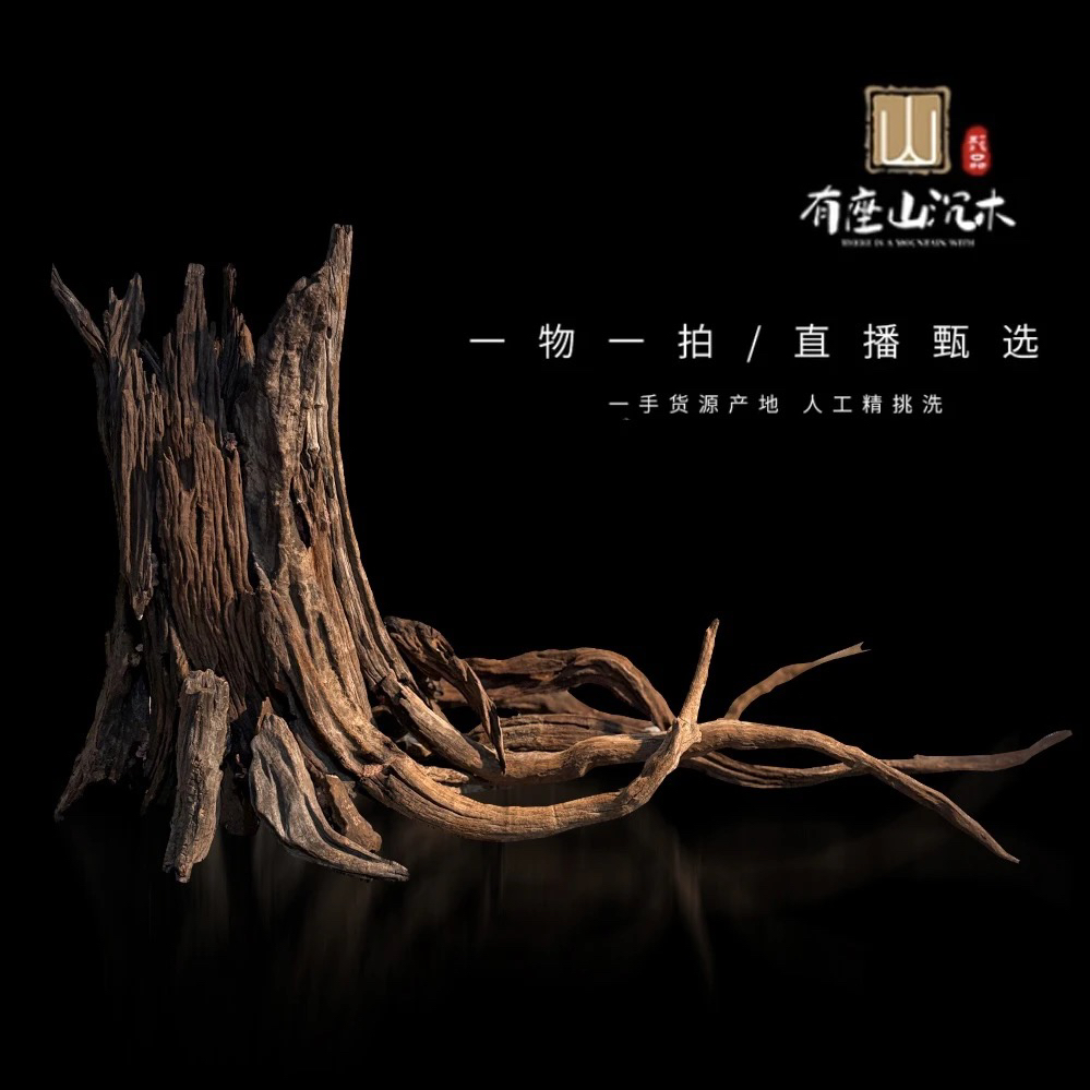 【直播间下单】骨架造景成品紫柚木发货后不退不换半路退单扣20邮费