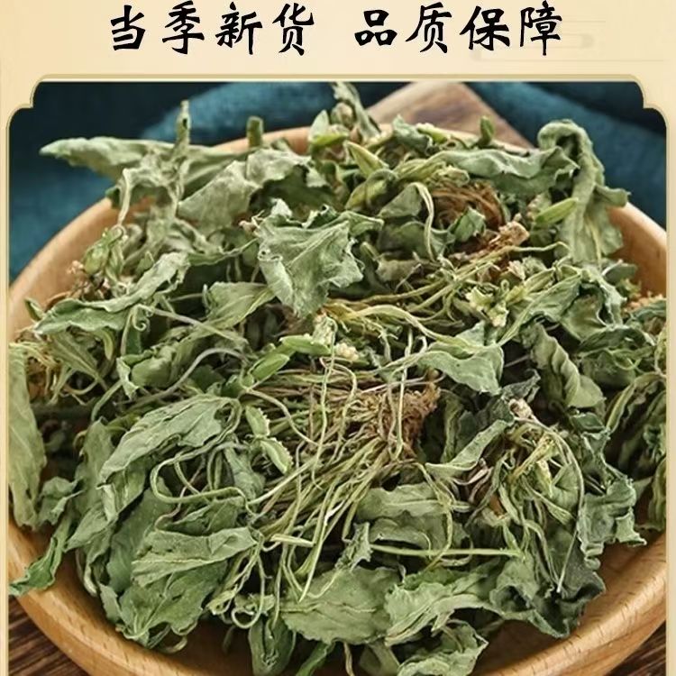 紫花地丁农产品好物天然晒干很少滑头草犁头草箭头草500g