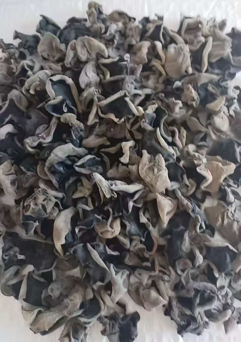 301691-01东北产地无根春木耳肉厚干净无沙