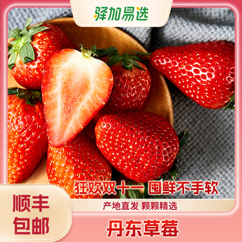 【丹东九九草莓】新鲜采摘，鲜甜清爽，庄园直发，顺丰速达2.0