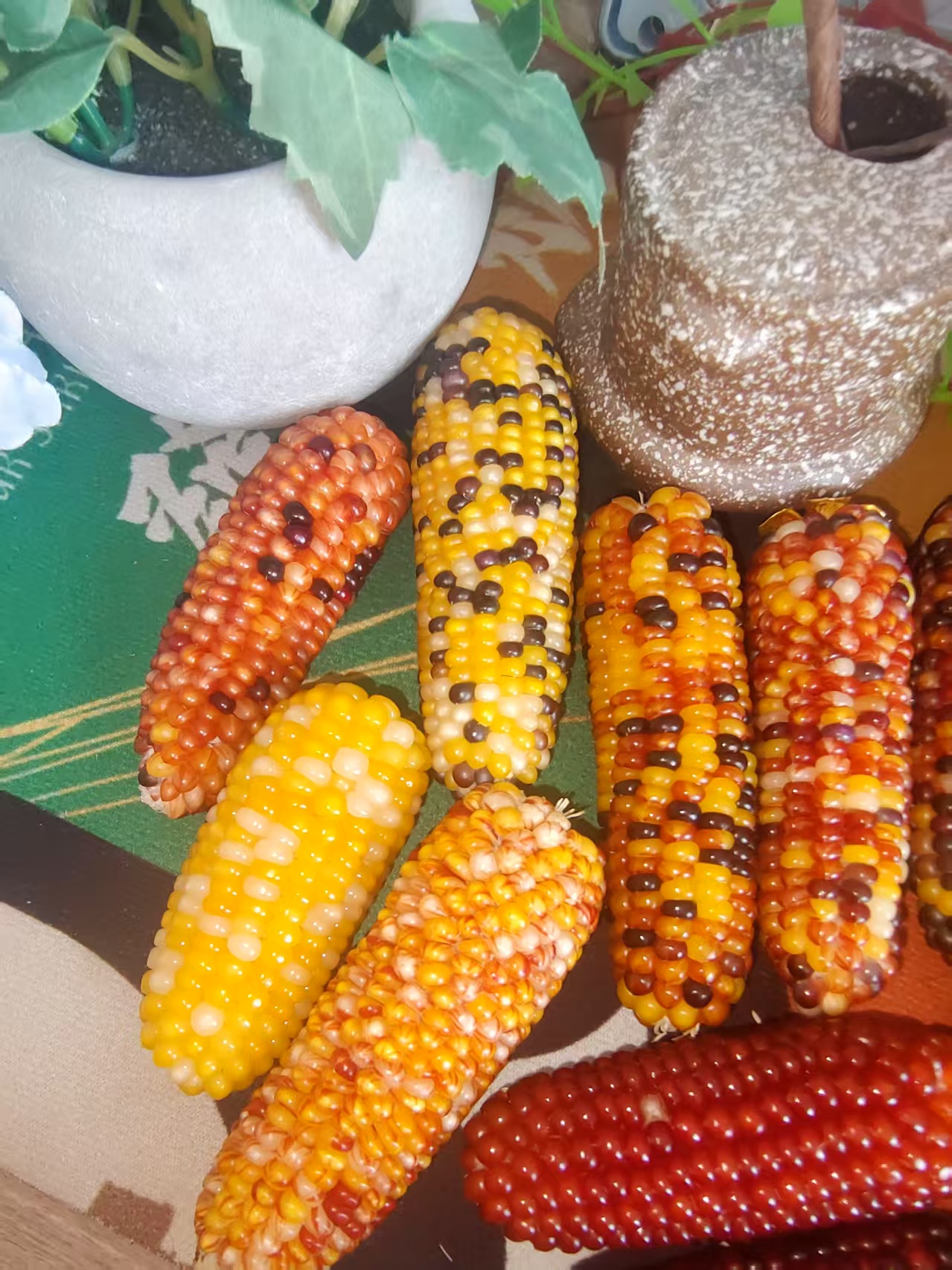 文物玉米手把件金玉满堂寿桃一线龙鳞血丝马卡龙迷你小墩墩