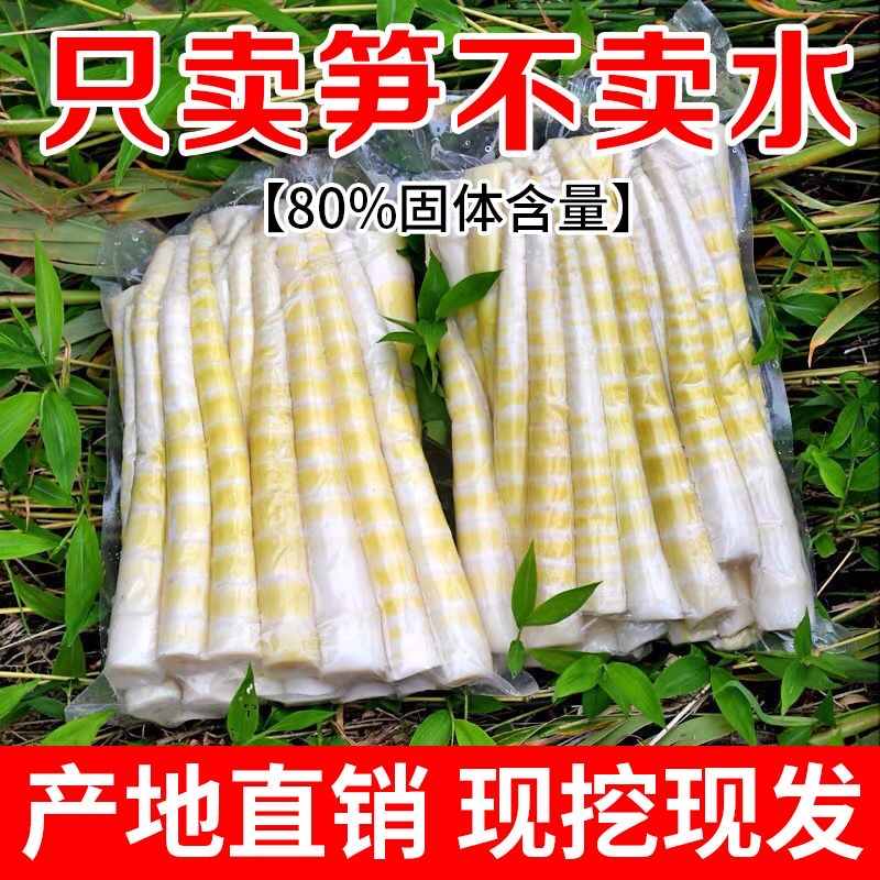 四川小竹笋新鲜春笋商用餐饮火锅嫩笋尖袋装罗汉笋清水笋方竹笋