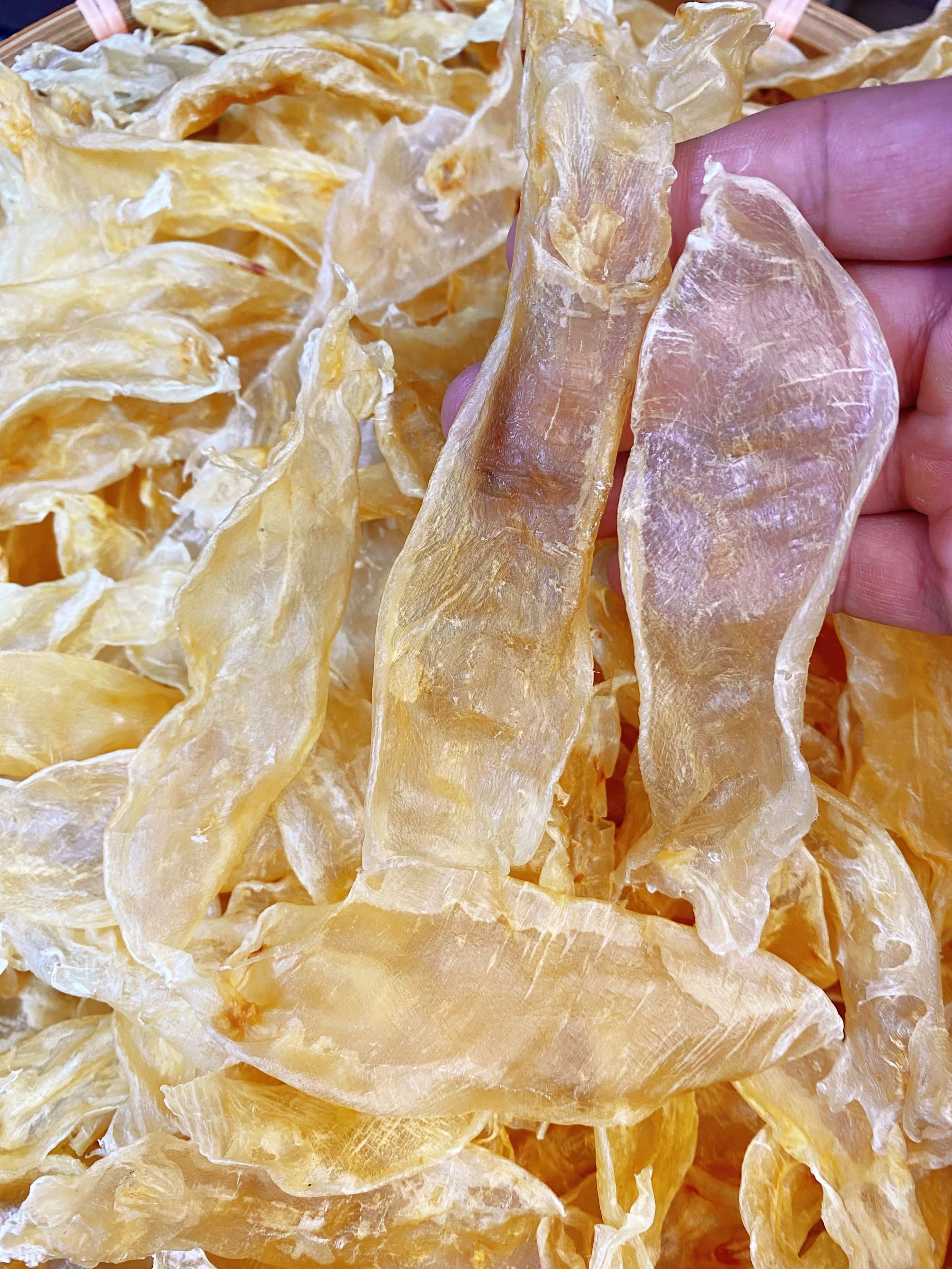 【鸿哥推荐】110头深海佐罗胶滋补炖汤炖奶佳品