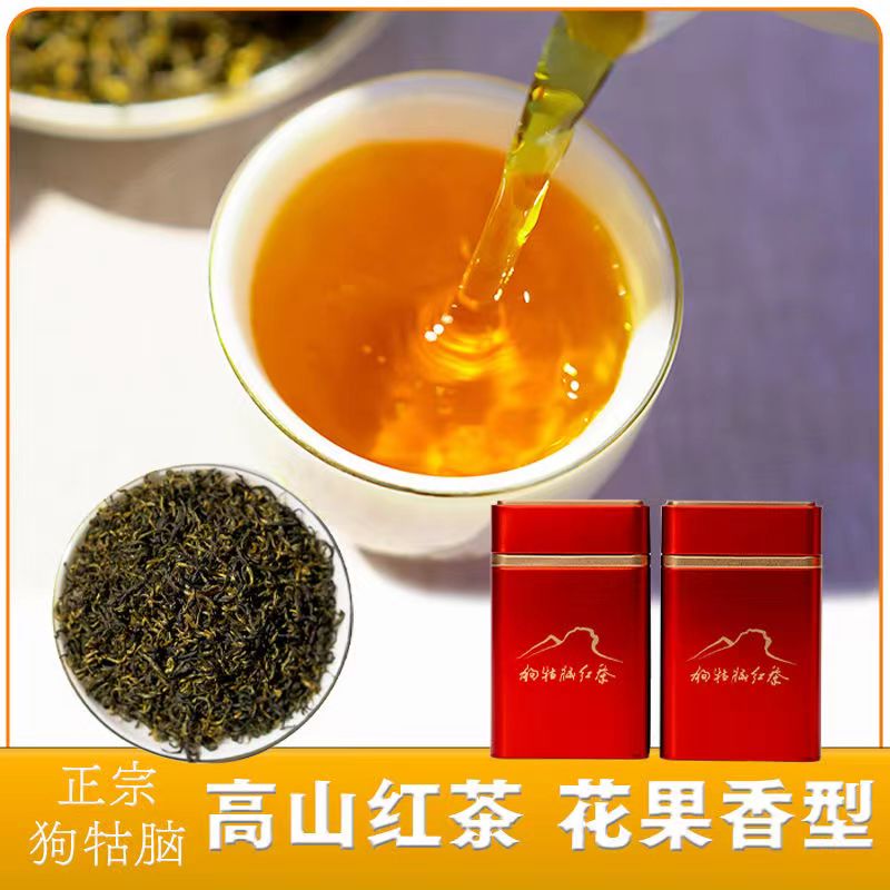 江西遂川狗牯脑茶叶2025新茶高山茶珍品特级红茶罐装红茶正品100g