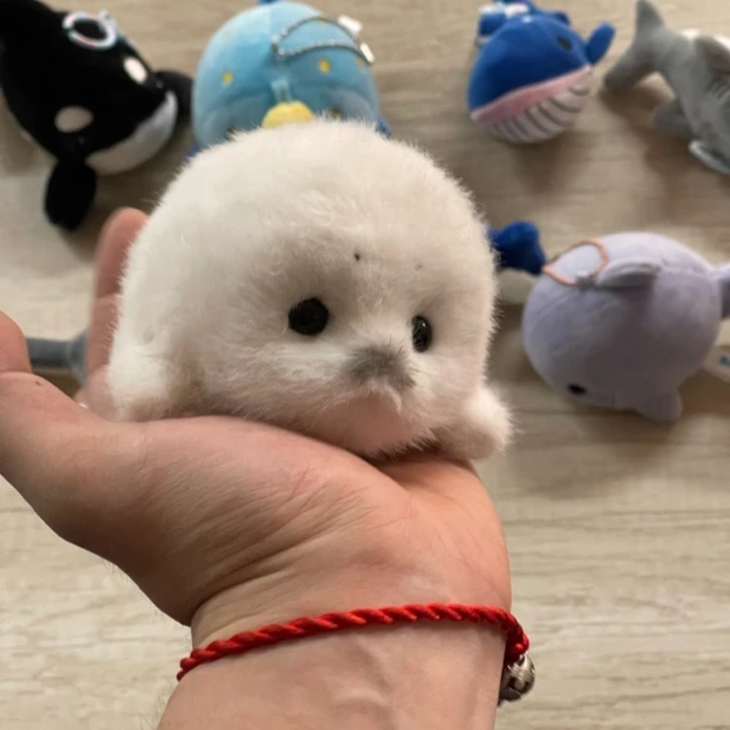 可爱掌动海豹玩偶挂件正品手工精制海洋生物匠心手作玩偶毛绒公仔