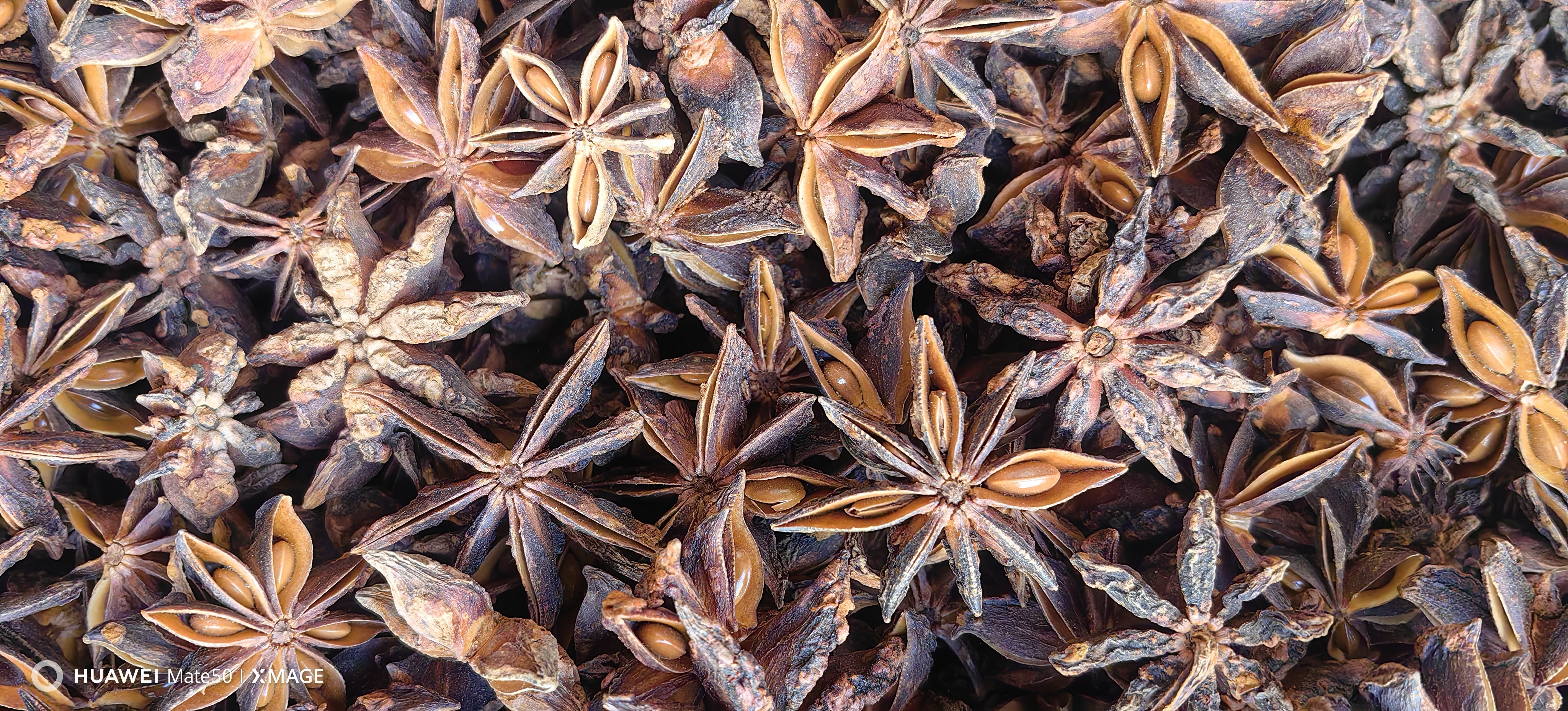 正宗广西八角干货无硫足干适合炖肉调味