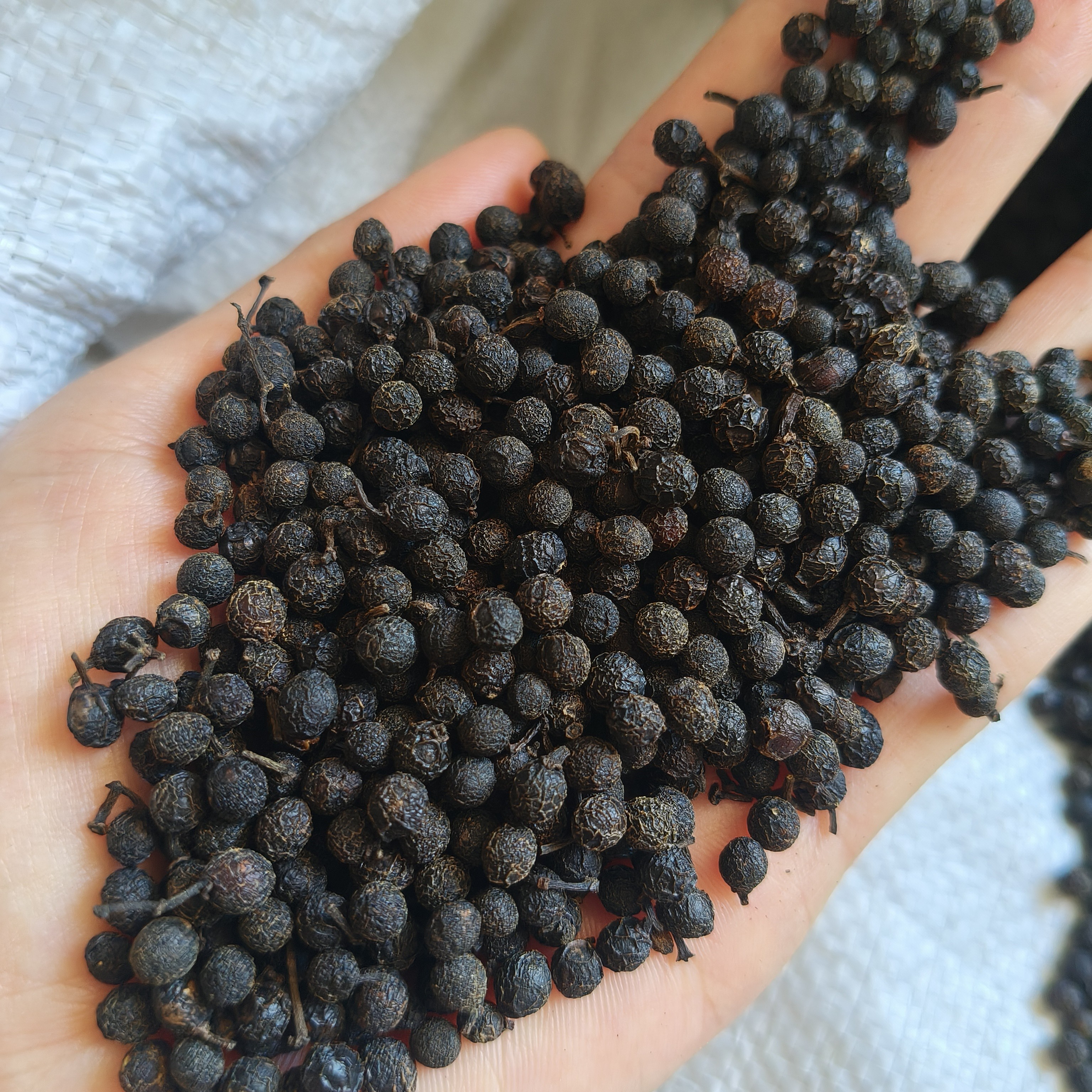 山苍籽干货，野生山苍子干货，买4斤、6斤送枕头套，颜色随机发。