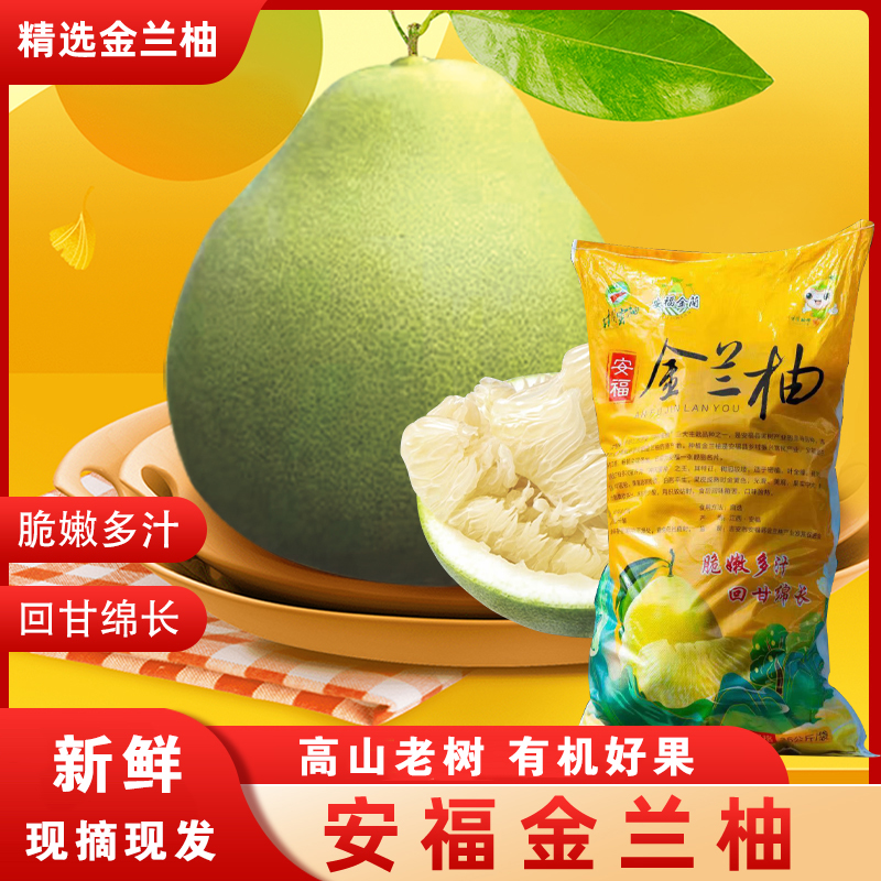 正宗有机井冈蜜柚安福金兰柚果园新鲜直发老树白心柚子编织袋包装