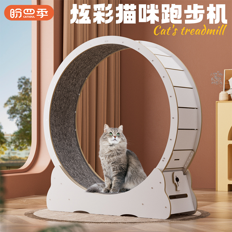 盼四季猫咪实木滚轮家具板跑步机猫爬架宠物专用转轮健身运动玩具