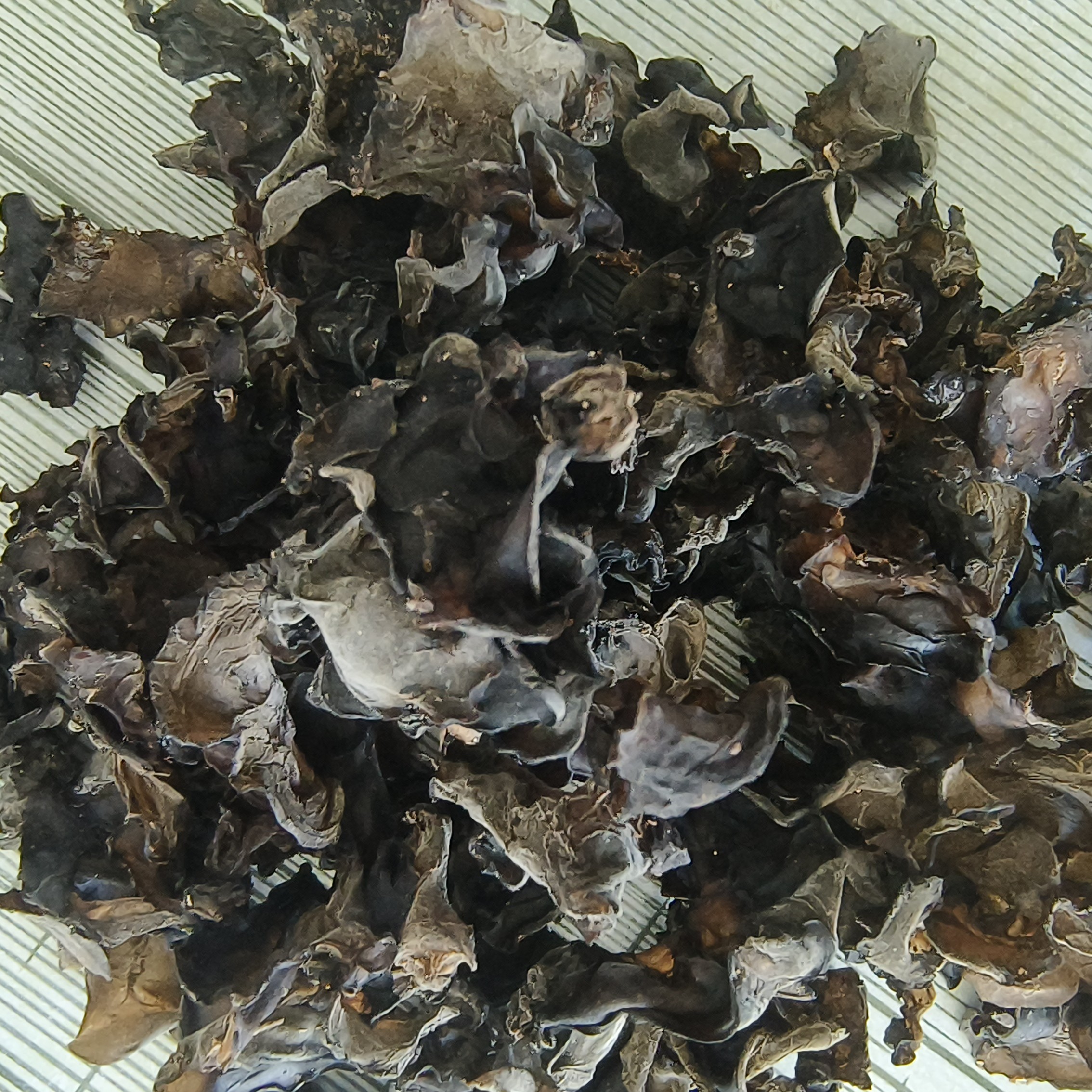 野生柞木椴木耳厚实Q弹软糯单片无根干净无沙