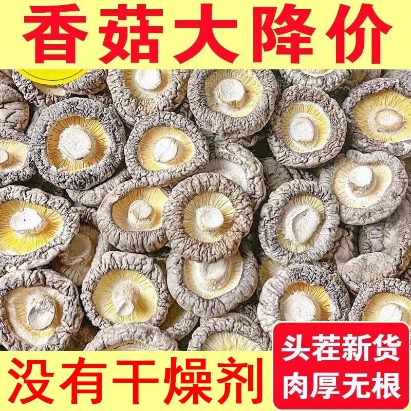 500g特等香菇干货古田农家自产新货香菇肉厚无根冬菇蘑菇特产50g