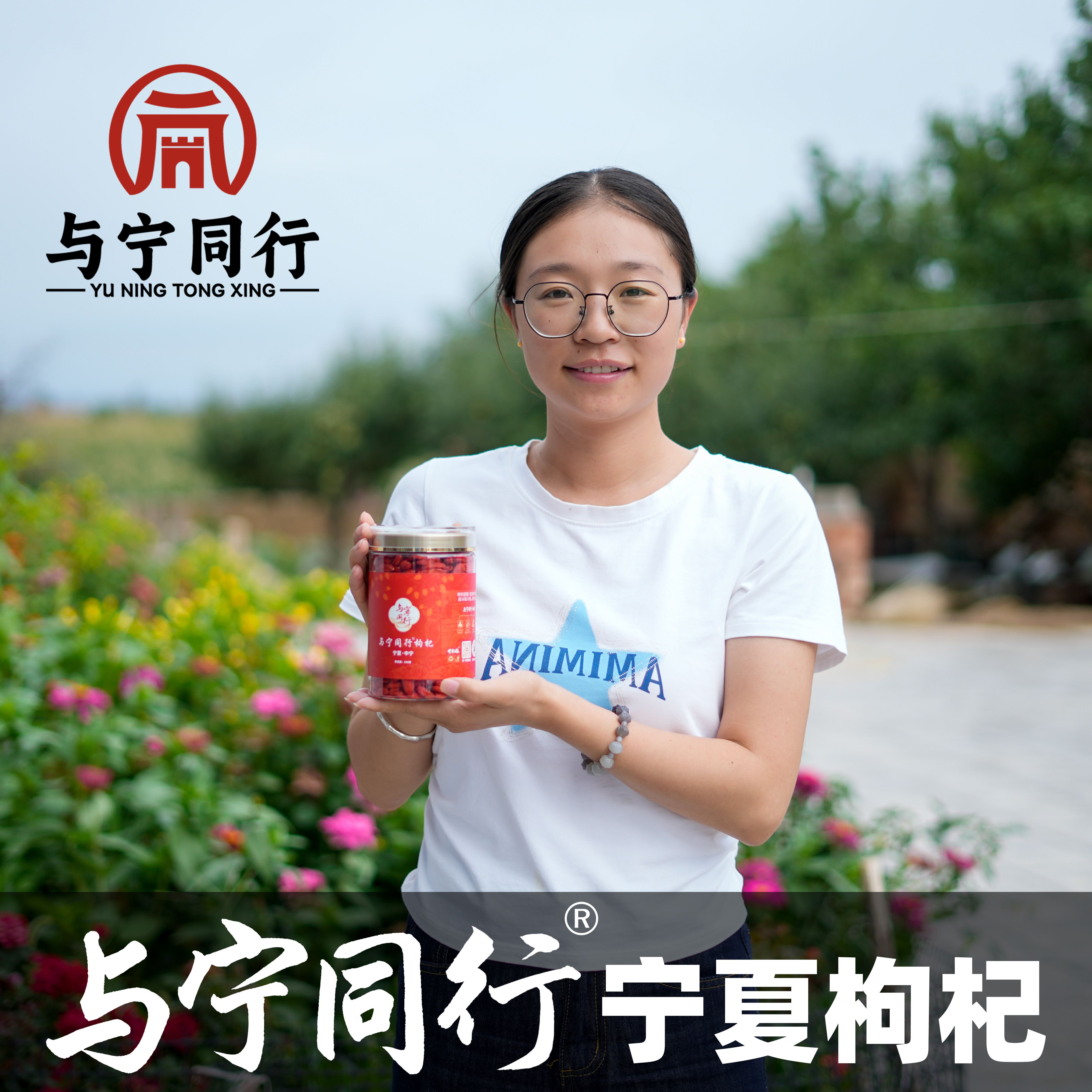 【与宁同行】干枸杞250g新货真空低温冻干锁鲜枸杞马瑞乡村阿瑞