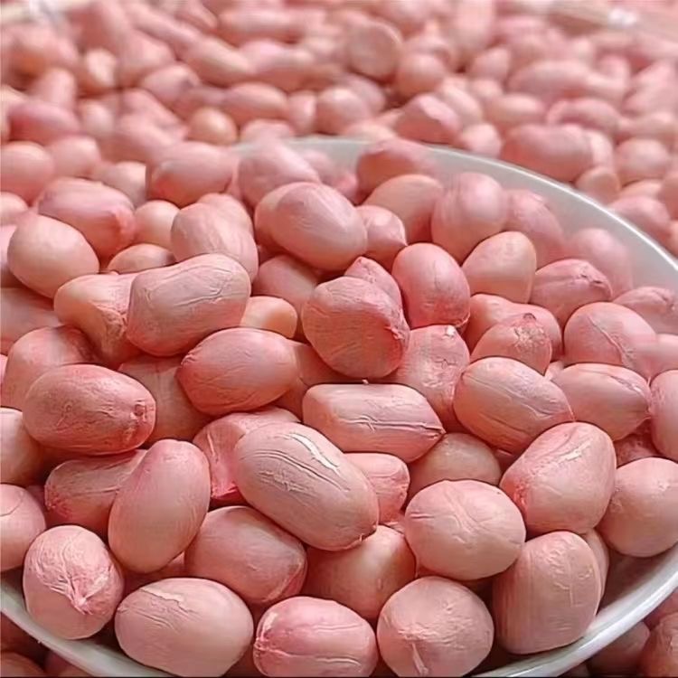 五斤装当季传统种植生白沙花生米营养健康新鲜菜榨油生吃营养3斤