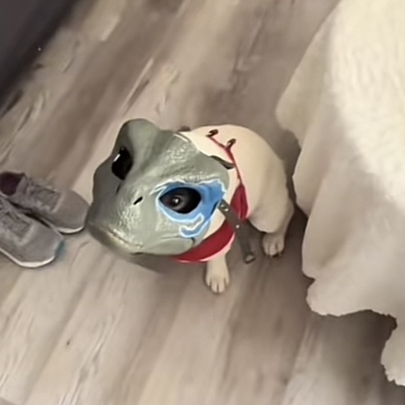 【翻倍】宠物专用头套仿真恐龙电动头盔侏罗纪面具恶搞头盔网红玩具