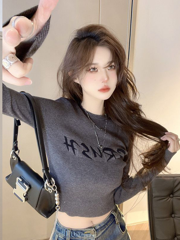 灰色长袖针织打底衫女2025秋季新款内搭显瘦字母提花短款上衣毛衣