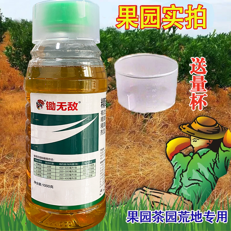 【送量杯】精草铵膦铵盐正品保障工厂直发小飞蓬水花生果园茶园荒地