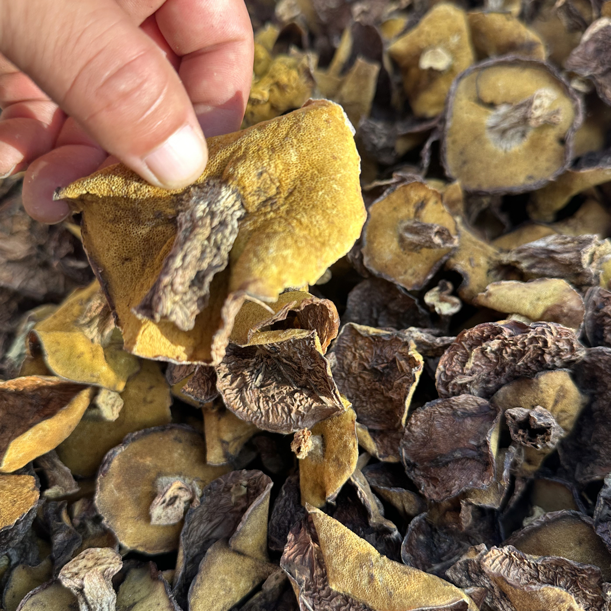 深山粘团子干蘑菇一斤包邮干货