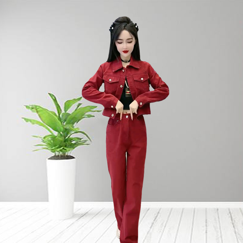 春秋时尚休闲套装女68036新款气质显瘦长袖短款上衣+阔腿裤二件套