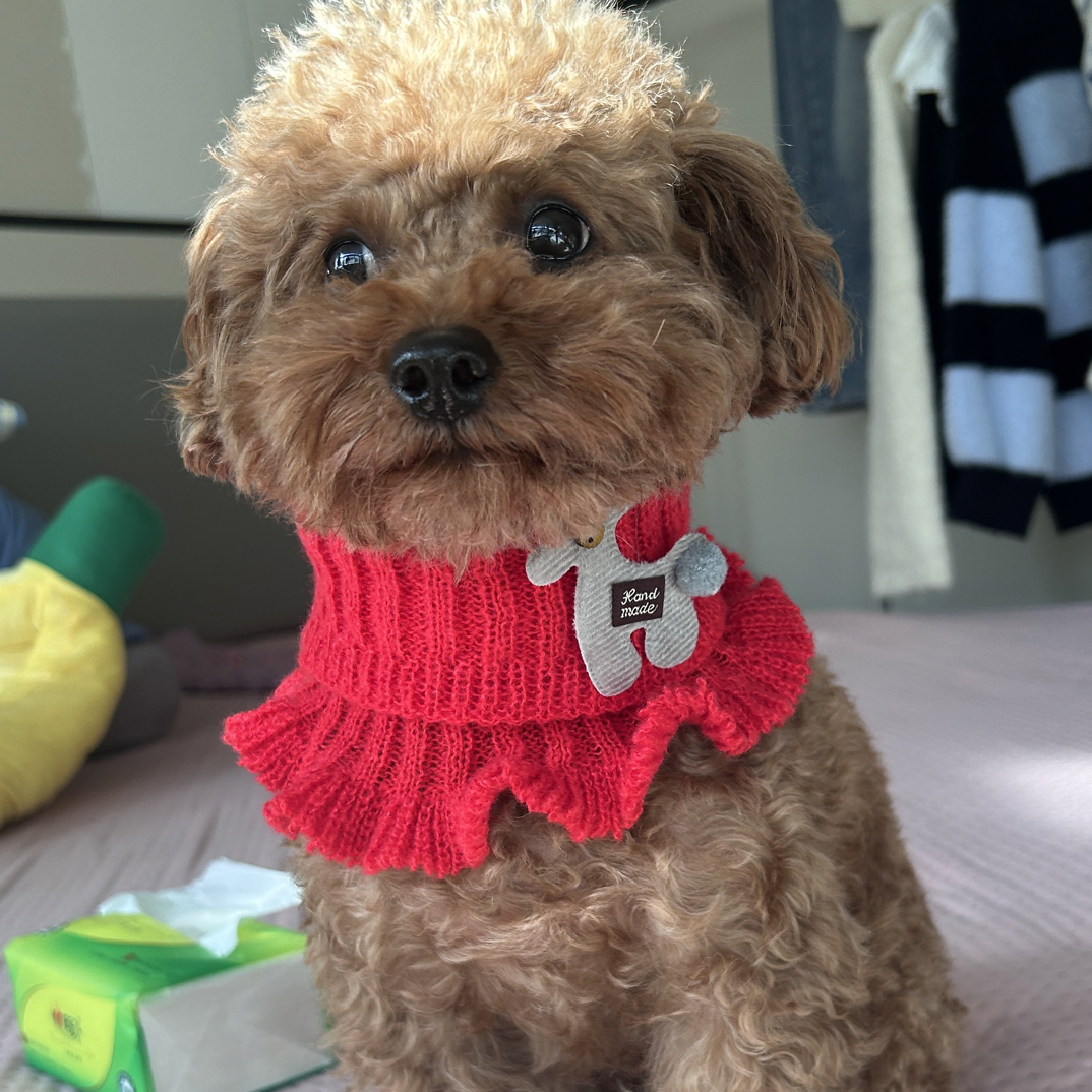 宠物可爱脖套冬季针织毛线围脖小鹿卡通可爱防风保暖