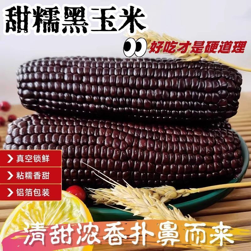 （直播专属）山西头茬甜糯黑糯玉米真空包装粗粮代餐