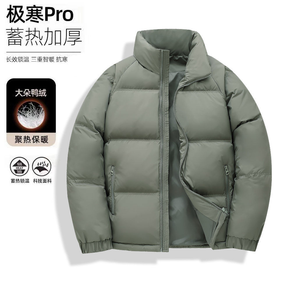 2025冬季新国标男士白鸭绒加厚休闲百搭保暖净版羽绒服立领外套男