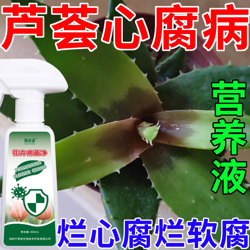 芦荟心腐病专用营养液肥料腐烂病软腐病烂根烂心黑腐化水用病菌净