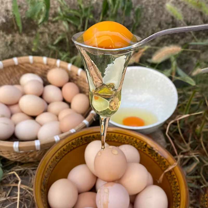 正宗农家散养五谷杂粮土鸡蛋新鲜初生蛋营养月子鸡蛋走地柴鸡蛋