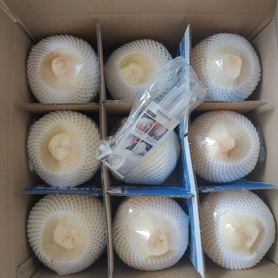 海南新鲜椰青孕妇水果精选大果9个装（送开椰器+吸管)夏日清甜解渴